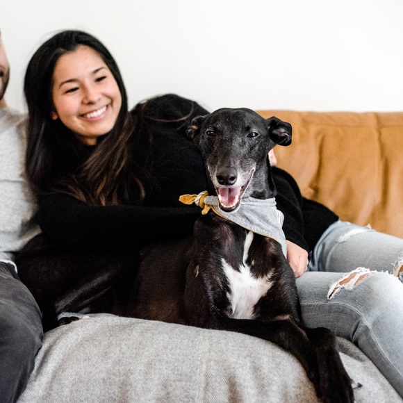 Meet your Posher, Michelle - Picture 2 of 3